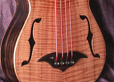 Nylon Bass String 55